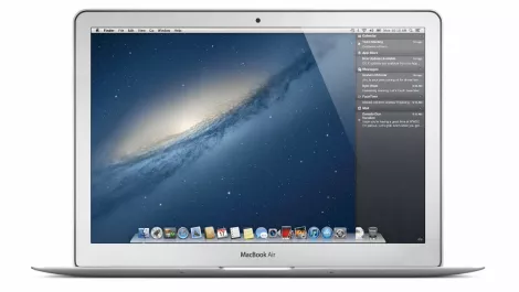 Mountain lion background