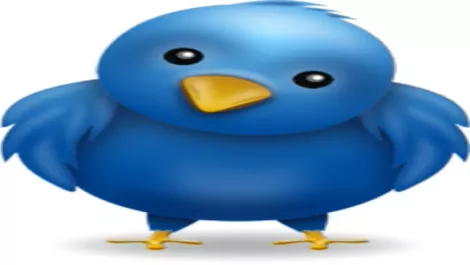 Twitter bird officiald31850