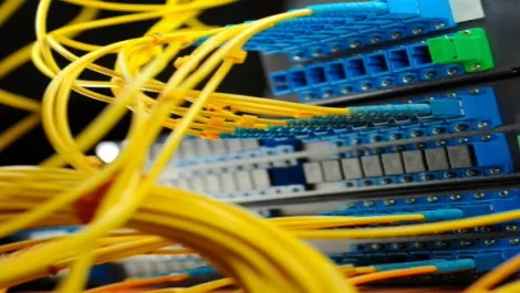 Data center server network cable