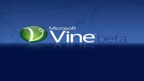 Microsoft vine beta