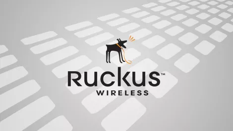 Partner ruckus