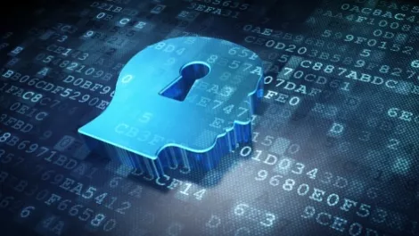 Brain security people