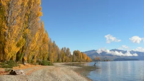 Lake wanaka