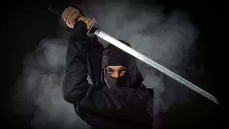Ninja