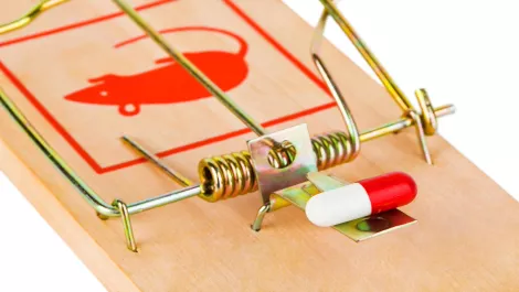 Thinkstockphotos 101177501