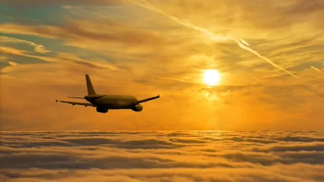 Plane
