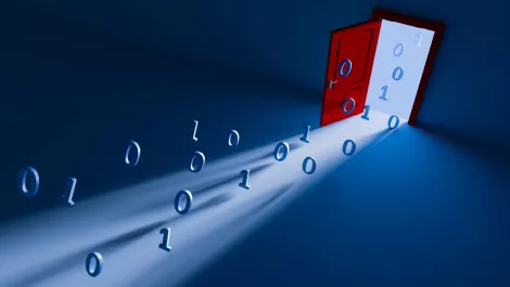 Data out the backdoor