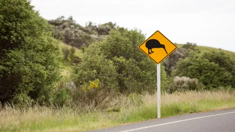 Thinkstockphotos 534046207