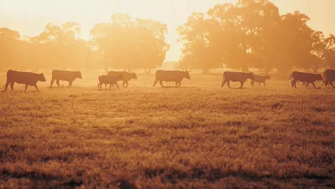 Thinkstockphotos dv187003