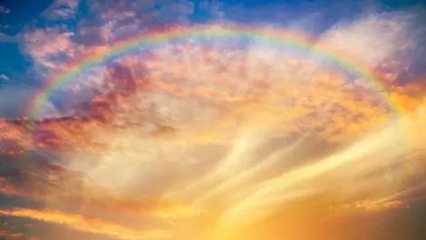 Screen shot 2019 05 13 at 3