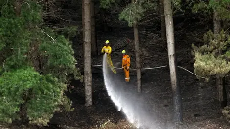 El Niño could raise wildfire and water-quality risks in Hawke's Bay, council says